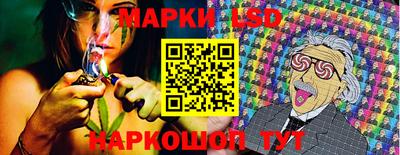 стафф Партизанск