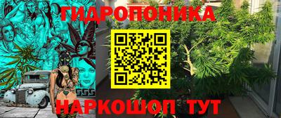 стафф Партизанск